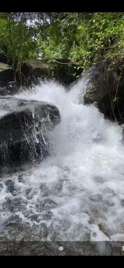 Earth Lounge Resort Vagamon Exterior foto