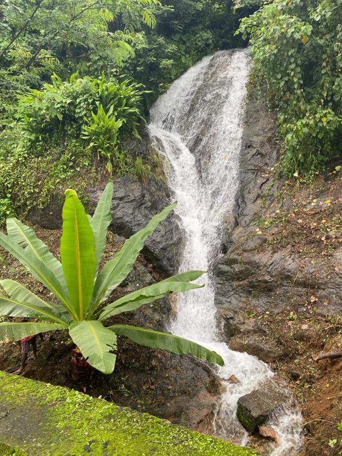 Earth Lounge Resort Vagamon Exterior foto