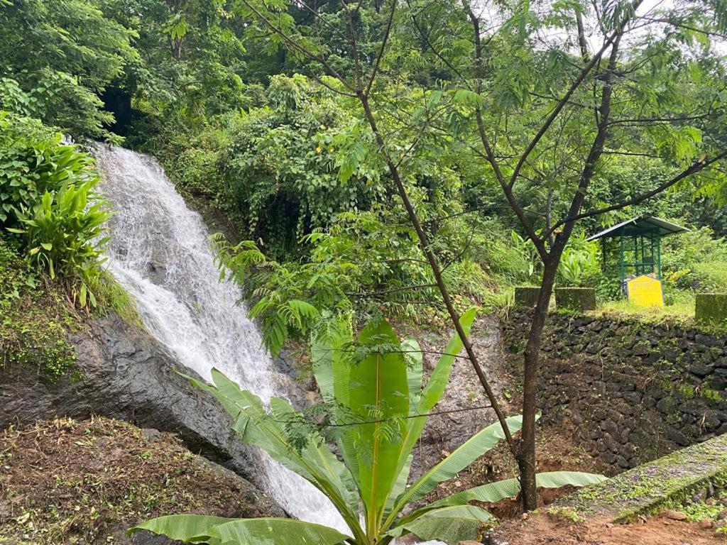 Earth Lounge Resort Vagamon Exterior foto